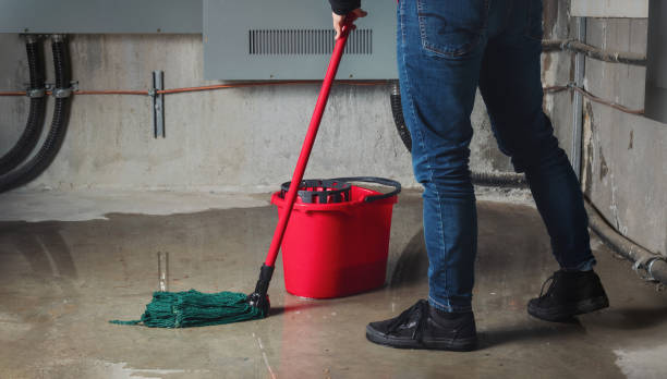 Best Water damage contractors near me  in Moriches, NY