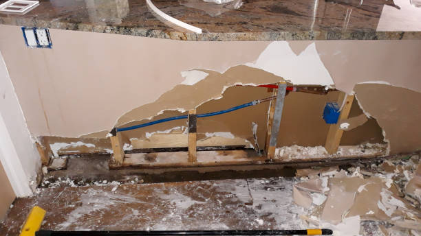 Best Flood damage cleanup  in Moriches, NY