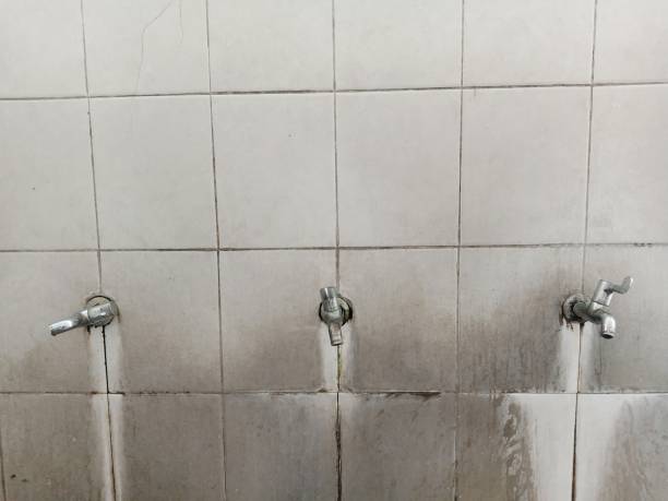 Best Professional water damage repair  in Moriches, NY